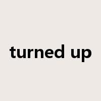 turned up是什么意思