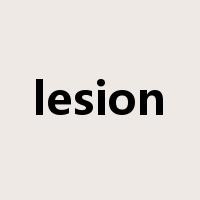 lesion是什么意思