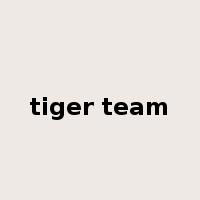 tiger team是什么意思