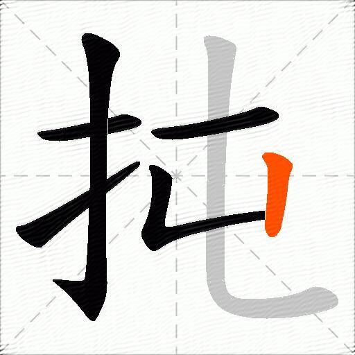 扽