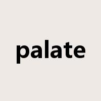 palate是什么意思