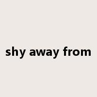 shy away from是什么意思