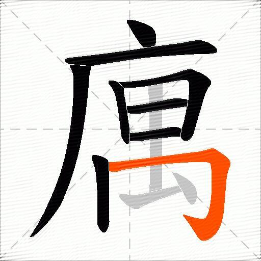 庽