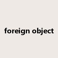 foreign object是什么意思