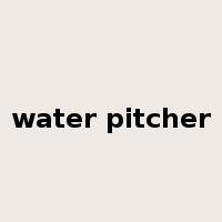 water pitcher是什么意思