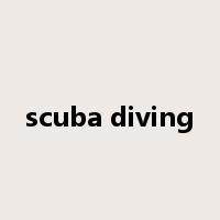 scuba diving是什么意思