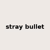 stray bullet是什么意思