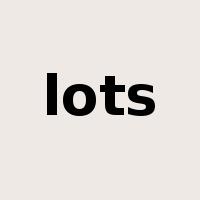 lots是什么意思