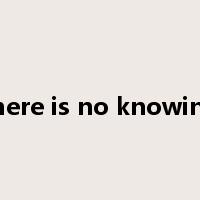 there is no knowing是什么意思