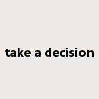 take a decision是什么意思