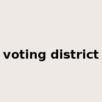 voting district是什么意思