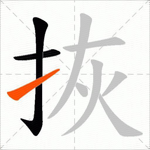 拻