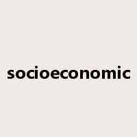 socioeconomic是什么意思