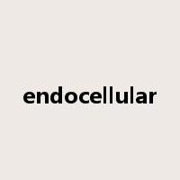 endocellular是什么意思