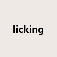 licking是什么意思