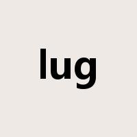 lug是什么意思