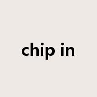 chip in是什么意思