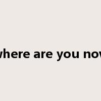 where are you now是什么意思