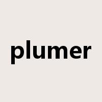 plumer是什么意思