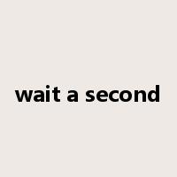 wait a second是什么意思
