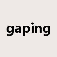 gaping是什么意思