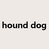 hound dog是什么意思