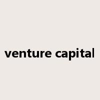 venture capital是什么意思