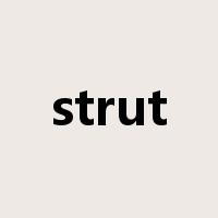 strut是什么意思