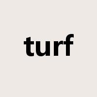 turf是什么意思