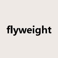 flyweight是什么意思