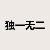 独一无二是什么意思