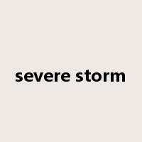 severe storm是什么意思
