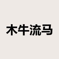 木牛流马是什么意思