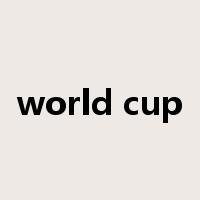 world cup是什么意思