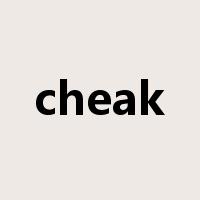 cheak是什么意思