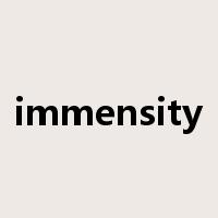 immensity是什么意思