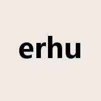 erhu是什么意思