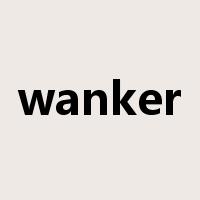 wanker是什么意思