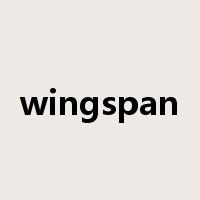 wingspan是什么意思