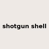 shotgun shell是什么意思