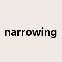 narrowing是什么意思