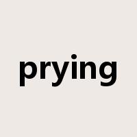 prying是什么意思