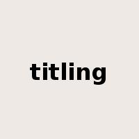 titling是什么意思