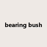 bearing bush是什么意思