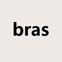 bras是什么意思