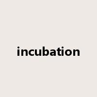 incubation是什么意思