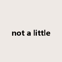 not a little是什么意思