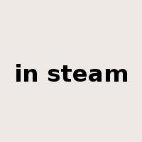 in steam是什么意思