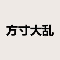 方寸大乱是什么意思