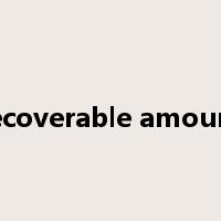 recoverable amount是什么意思